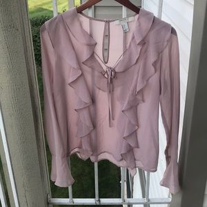 Sheer Blush Blouse